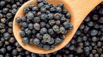 Black Pepper