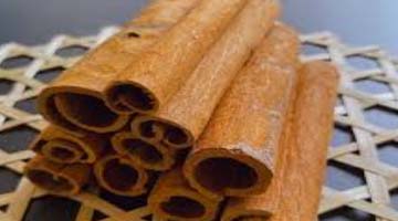 Tube Cassia